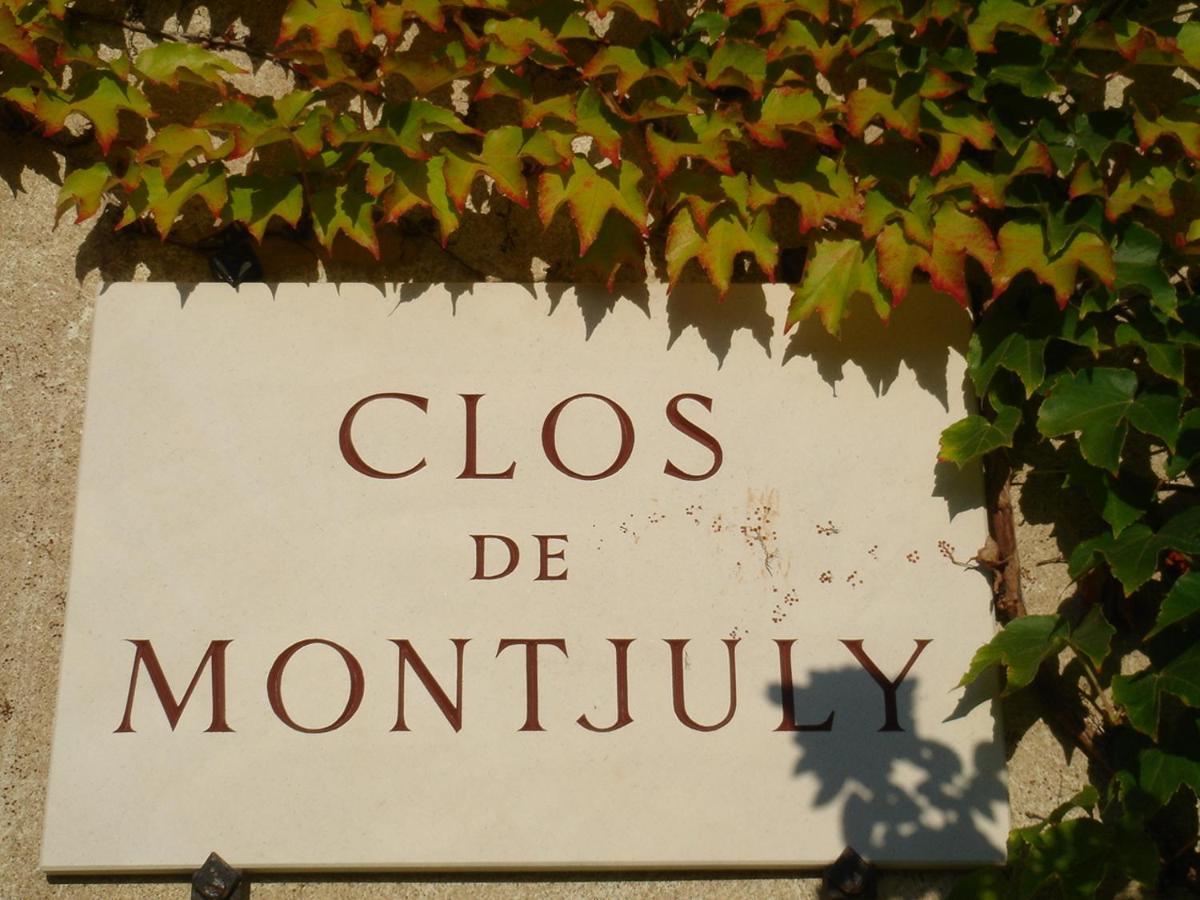 Clos De Mont July, Chambres Avec Vue Et Terrasse Dans Demeure Historique Ceyzeriat Dış mekan fotoğraf